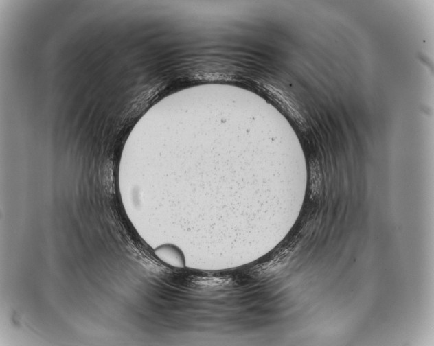 X0000097820453200804111019