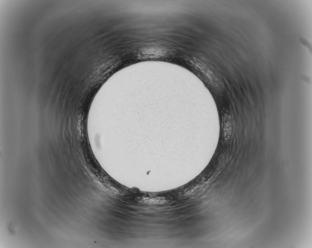 X0000097820455200804111019