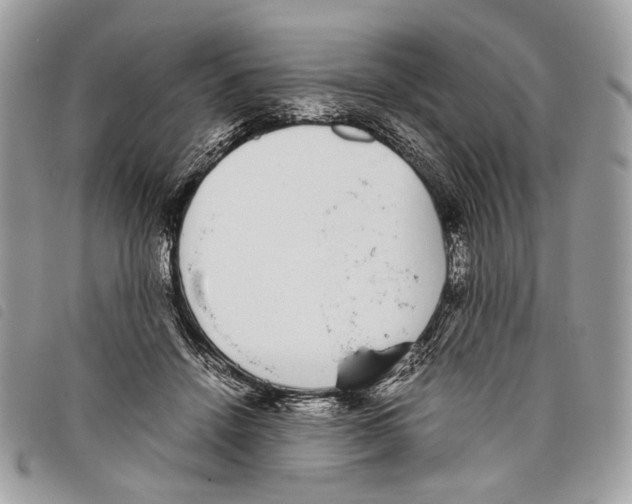 X0000097820456200804111019