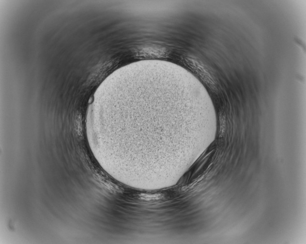 X0000097820457200804111019