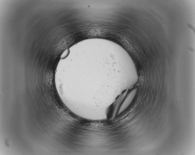 X0000097820458200804111019