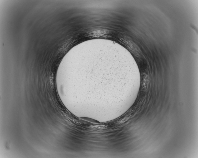 X0000097820461200804111019