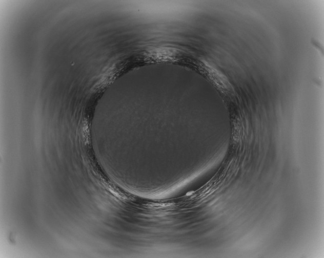 X0000097820465200804111019