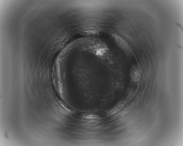 X0000097820467200804111019