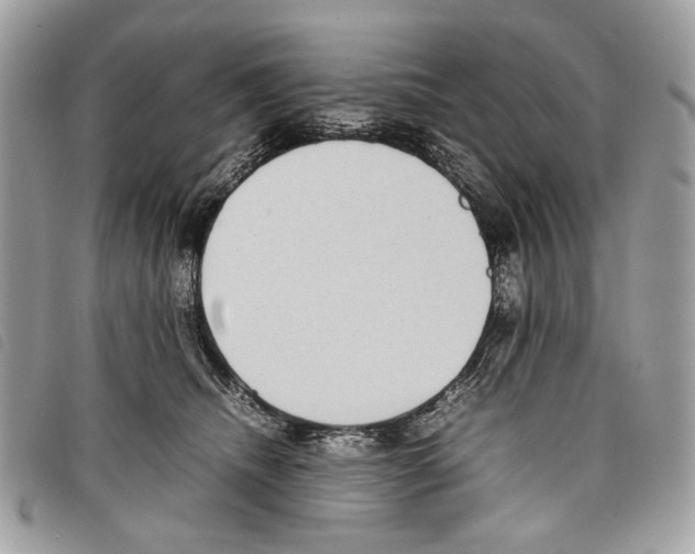 X0000097820468200804111019