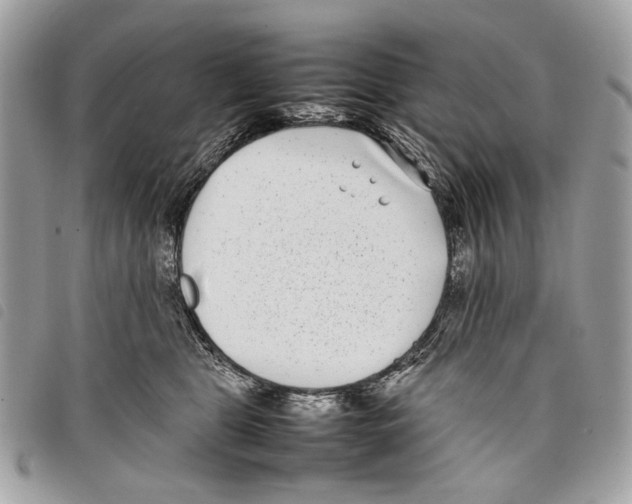 X0000097820469200804111019