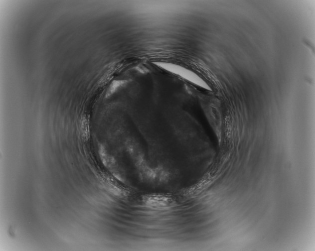 X0000097820471200804111019