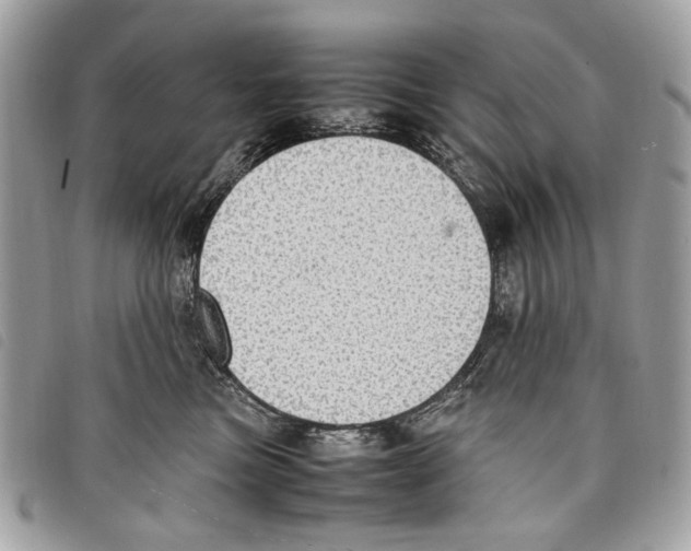 X0000097820473200804111019