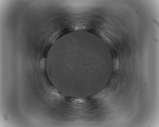 X0000097820475200804111019