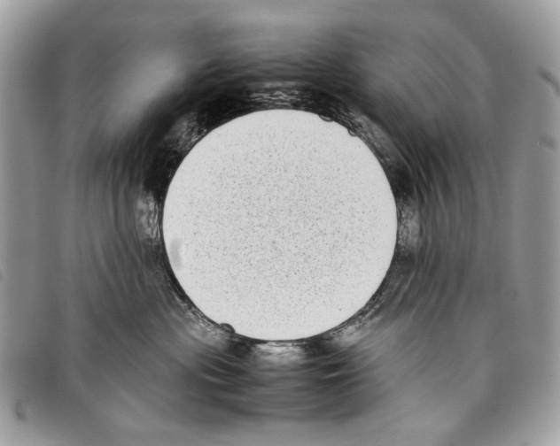 X0000097820477200804111019