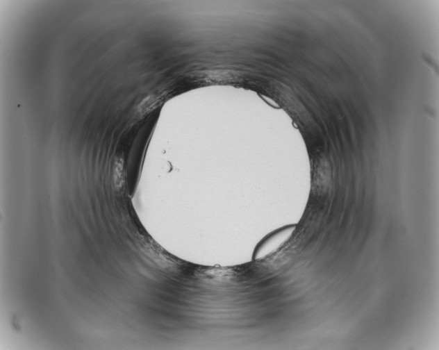 X0000097820478200804111019