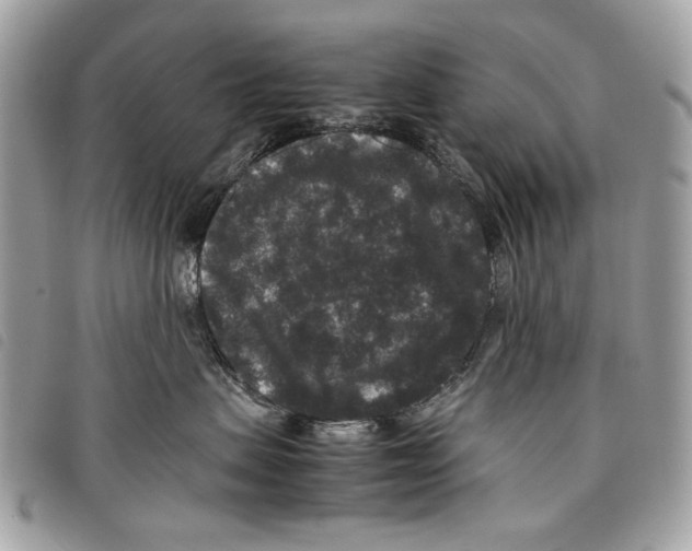 X0000097820479200804111019