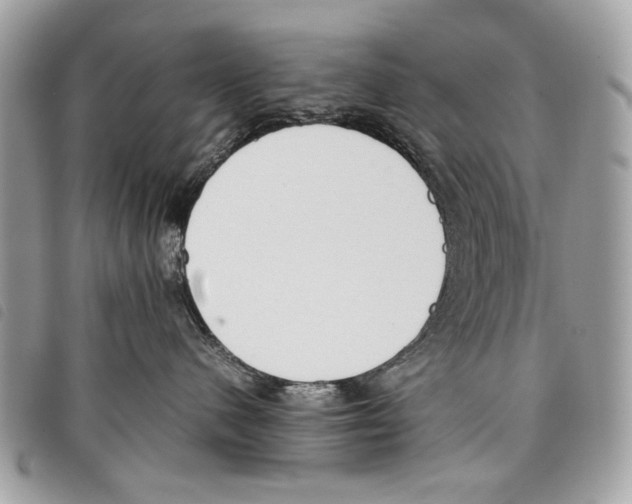 X0000097820480200804111019