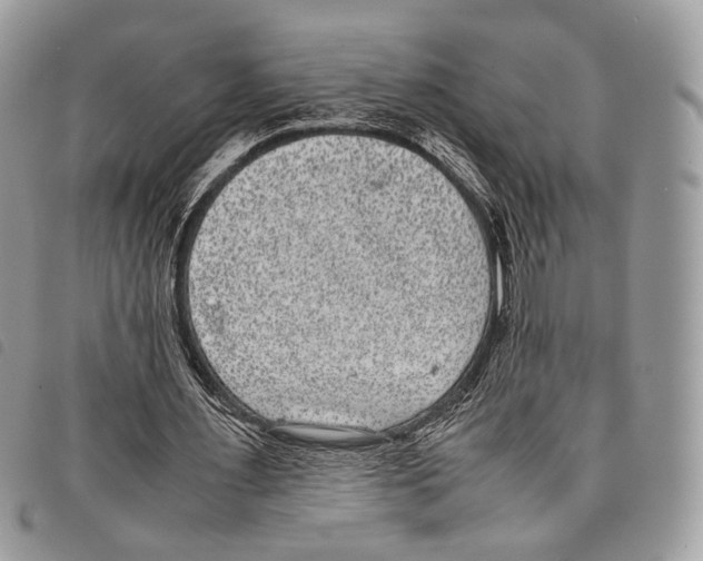 X0000097820483200804111019