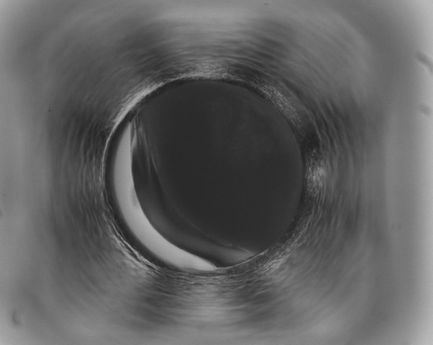 X0000097820484200804111019