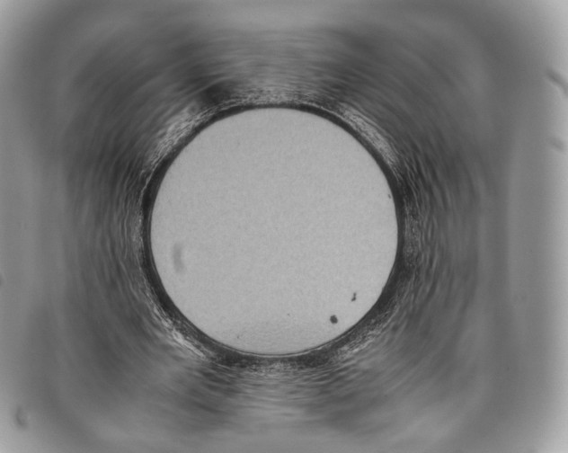 X0000097820485200804111019