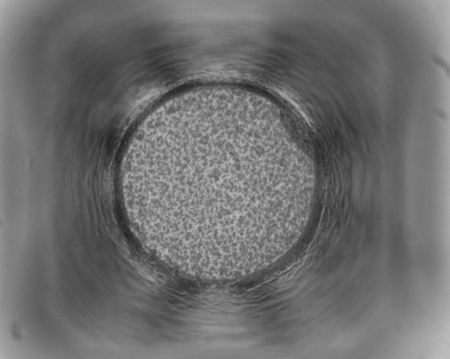 X0000097820487200804111019