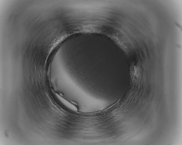 X0000097820488200804111019