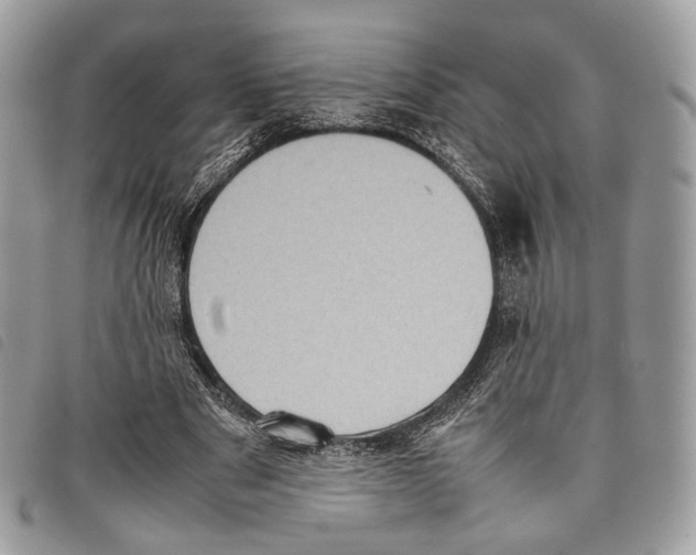 X0000097820489200804111019