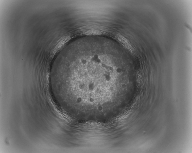 X0000097820491200804111018