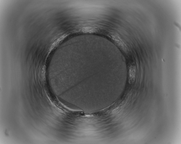 X0000097820492200804111018