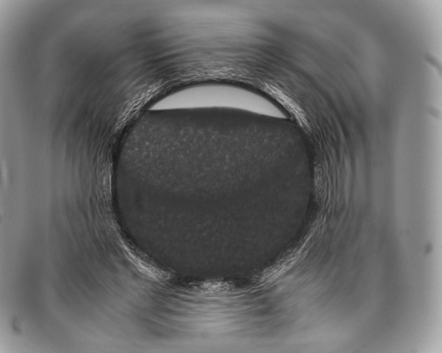 X0000097820493200804111018