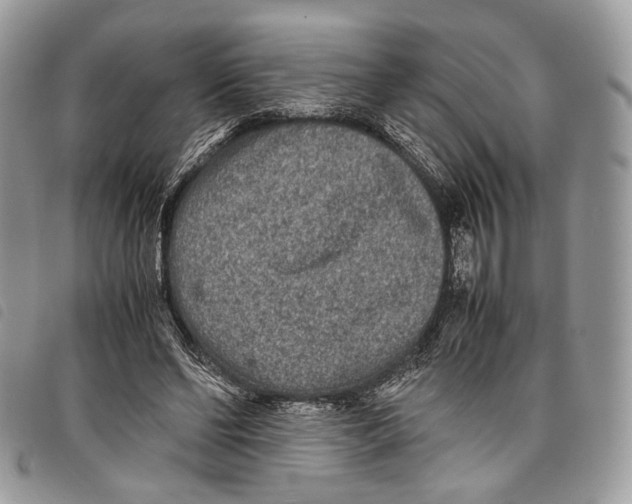 X0000097820494200804111018