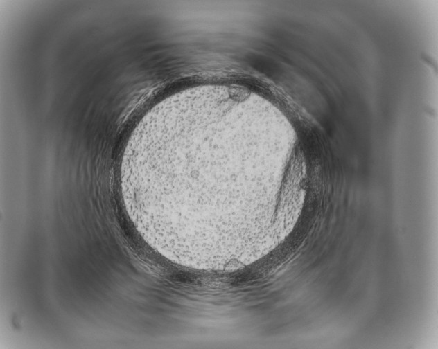 X0000097820495200804111018