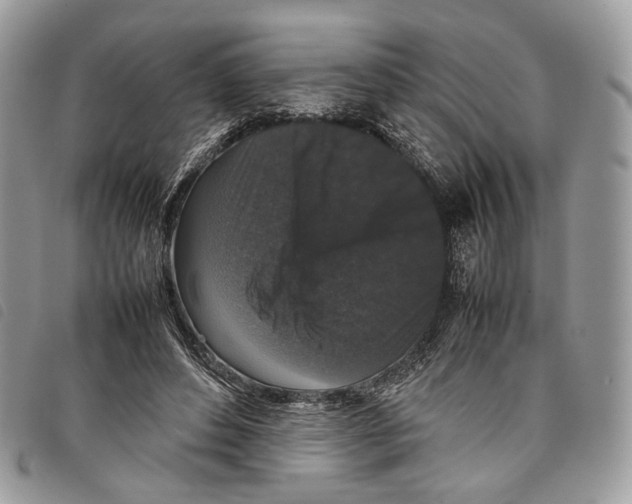 X0000097820496200804111018