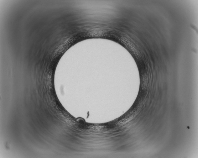 X0000097820497200804111018