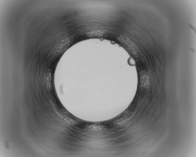 X0000097820498200804111018