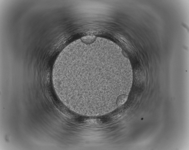 X0000097820499200804111018