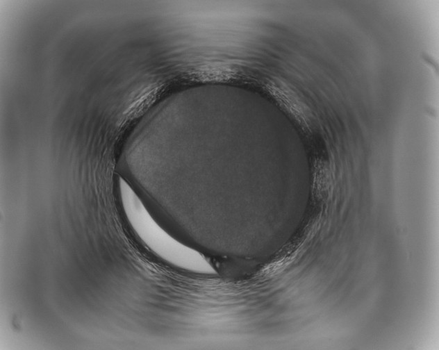 X0000097820501200804111018