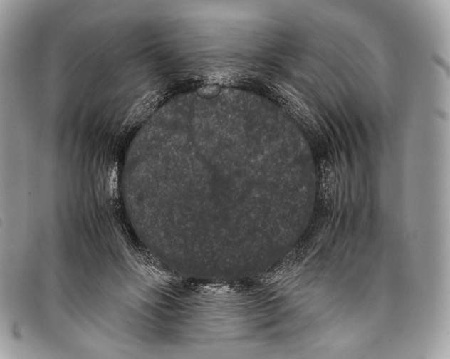 X0000097820502200804111018