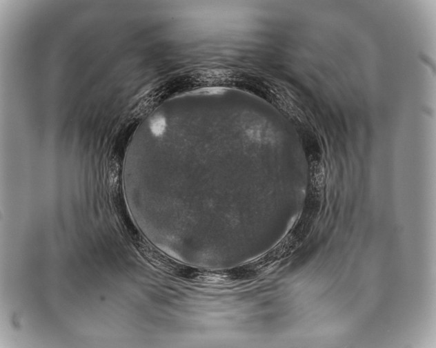 X0000097820507200804111018