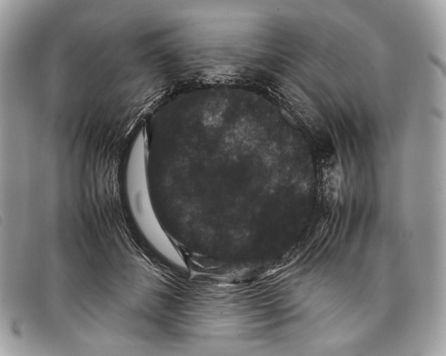 X0000097820508200804111018