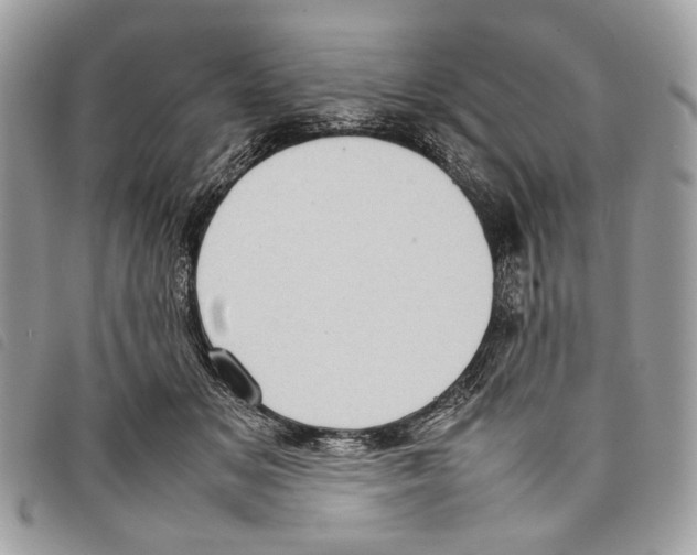 X0000097820509200804111018