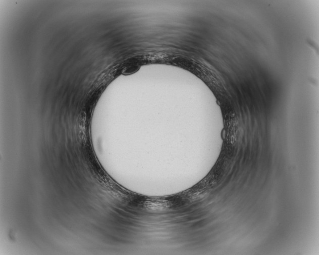 X0000097820510200804111018