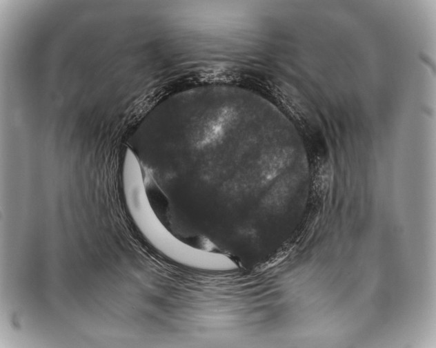 X0000097820513200804111018