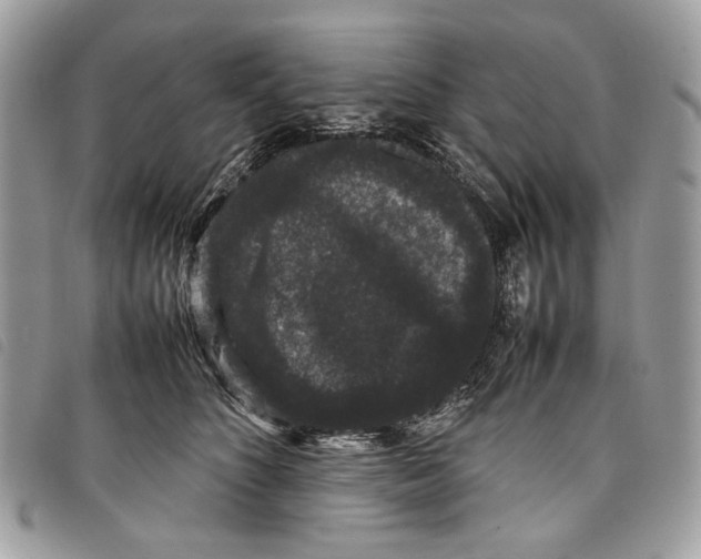 X0000097820516200804111018