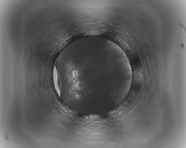 X0000097820517200804111018