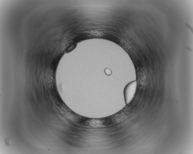 X0000097820518200804111018