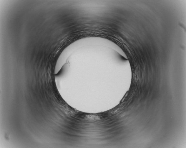 X0000097820520200804111018