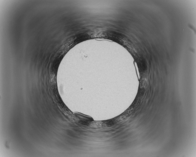 X0000097820521200804111018