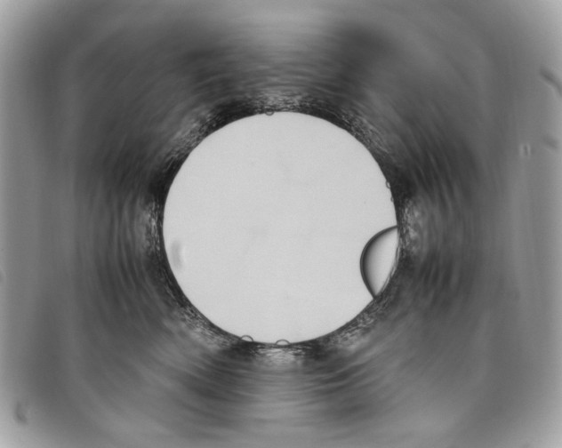 X0000097820522200804111018