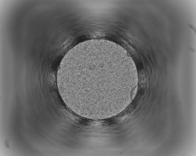 X0000097820523200804111018