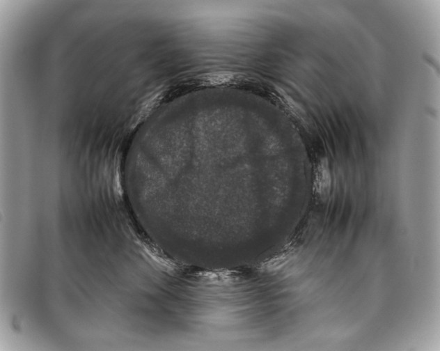 X0000097820524200804111018