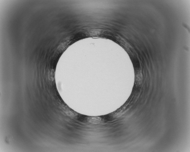 X0000097820525200804111018