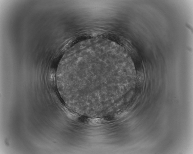 X0000097820527200804111018