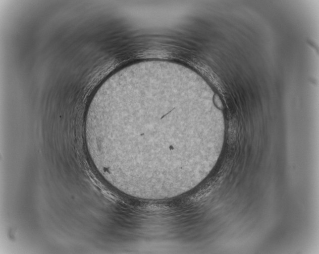 X0000097820529200804111017